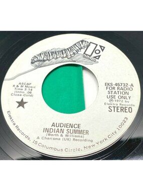 Audience Indian Summer / It Brings a Tear 45 Vinyl Promo 70s Prog Rock Elektra